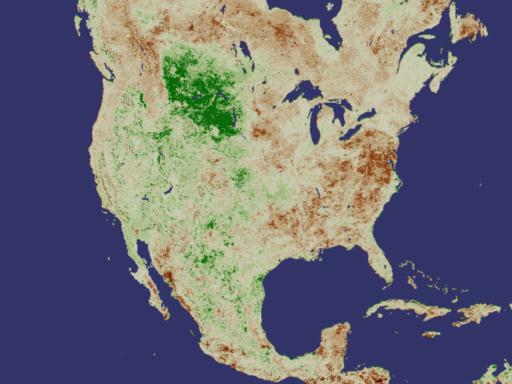 NDVI Anomaly North America August 1988