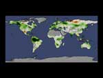 This map shows productivity increases during the time period in green, while decreases are shown in brown. 