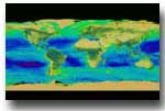 map showing the seasonal changes in ocean and land-based plant life in regions around the U.S. 