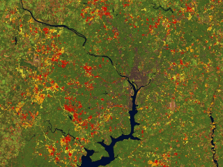 Urban Growth of Washington D.C.