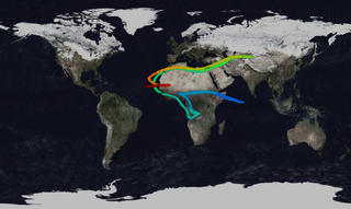 image of volcanic plume spread at the 50th frame of the animation.