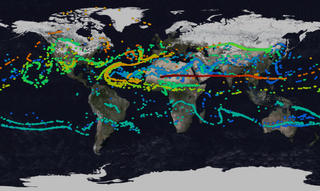 image of volcanic plume spread at the 150th frame of the animation.