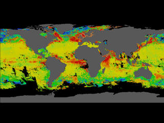 phytoplankton concentrations map