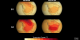 Mosaic of annual and summer temperature visualizations