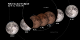Universal Time  (UT). The Moon moves right to left, passing through the penumbra and umbra, leaving in its wake an eclipse diagram with the times at various stages of the eclipse. Includes LRO's orbital motion.