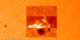 A view of the visible light solar disk from SDO/HMI and zoom-in to show visible light, hydrogen-alpha, and a calcium line from the Sacremento Peak observatory.