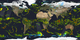 Accumulating swaths from the GPM Constellation, shown on a flat map.  Swaths are brightest with current data, then fade to a dimmer representation.