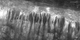 A close-up of the crater rim, at the same pixel scale as the original NAC image.