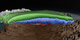 This print resolution image shows one cross-section of the age of the Greenland Ice Sheet as determined by MacGregor et al.  (See citation under the 