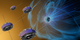 NASA spacecraft fly through a magnetic explosion in space, and scientists visualize the result.